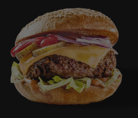 Gourmet Burger Special
